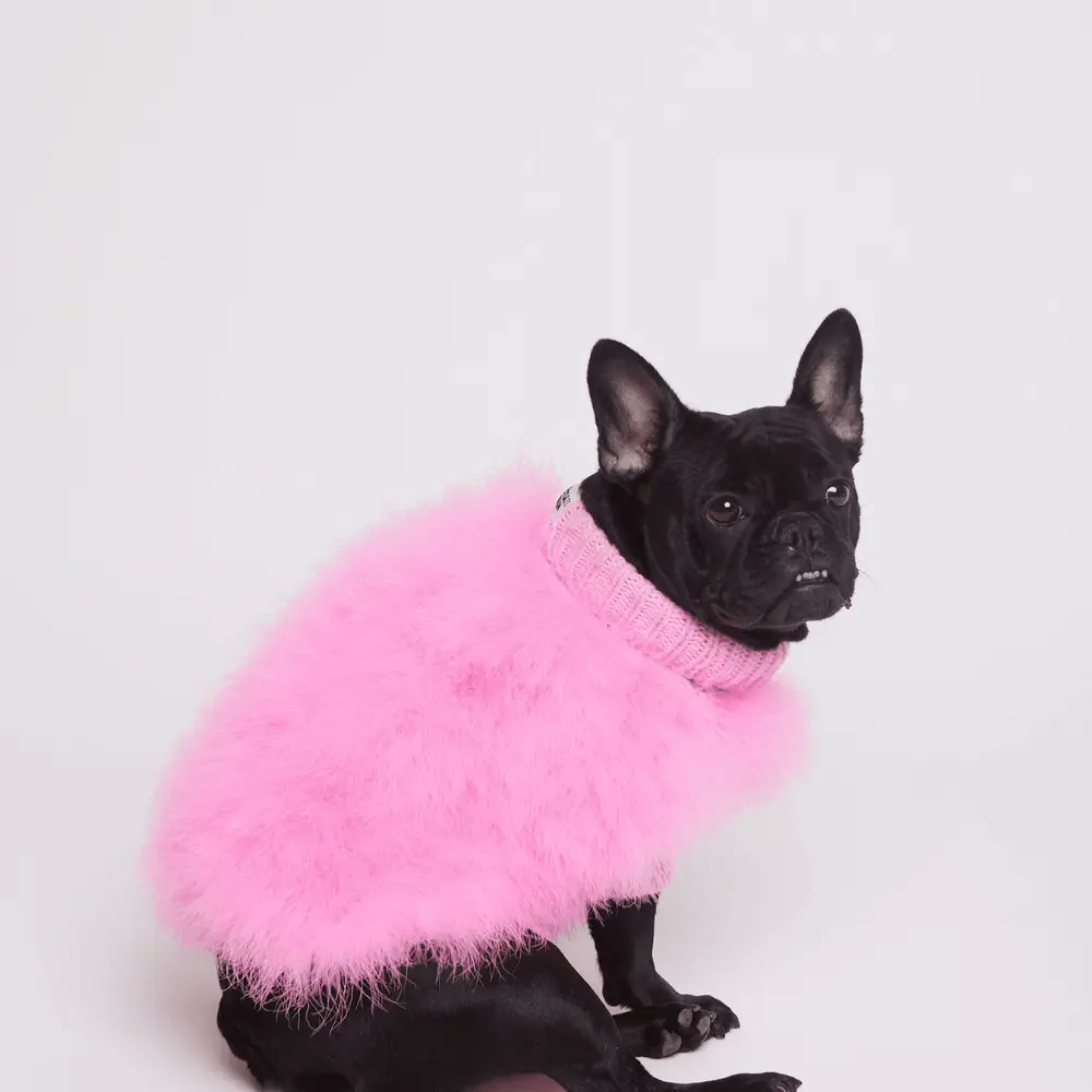 Christian Cowan X maxbone Dog Jumper Lola Nell