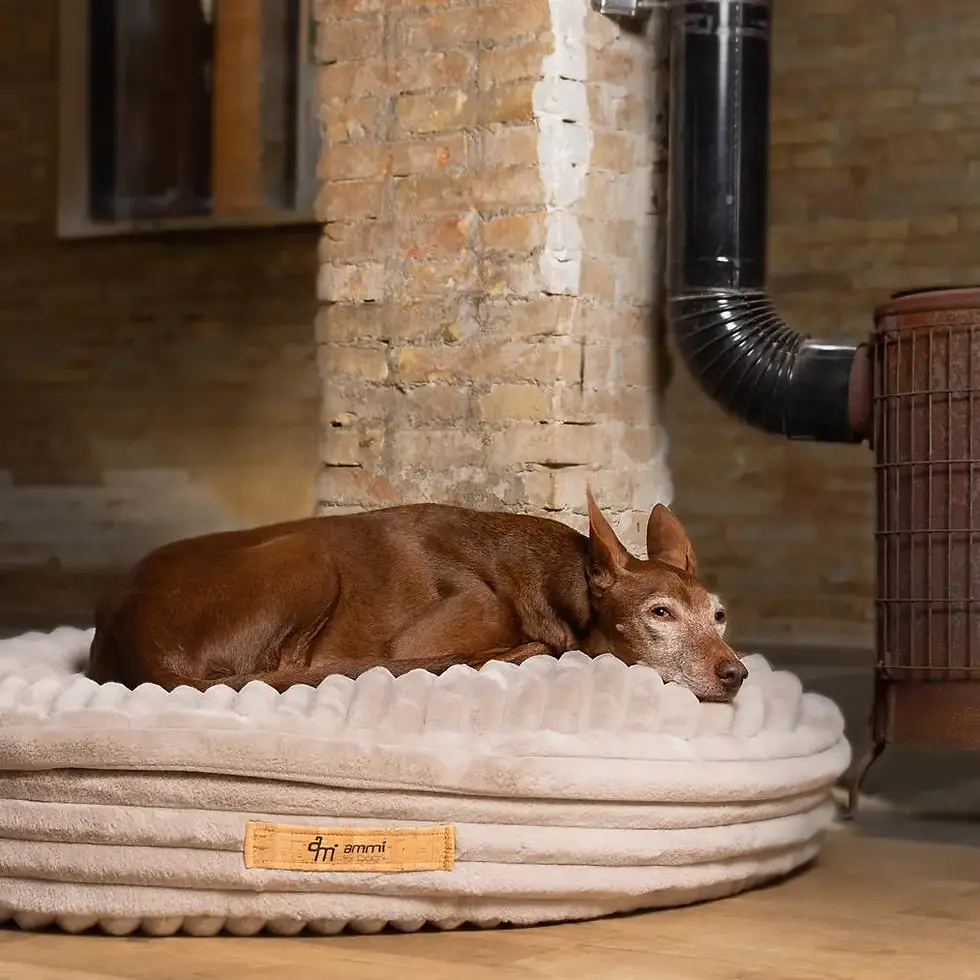 Thumbnail: Cama Dog Cushion - Inside Cork Outside Cuddly Fabric