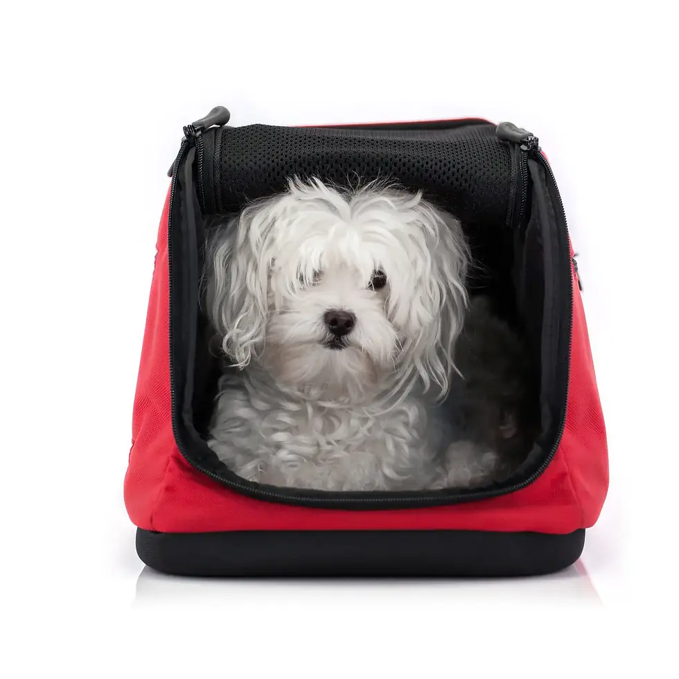 Thumbnail: Sleepypod Air pet carrier