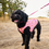 Thumbnail: Zephyr Cooling Vest