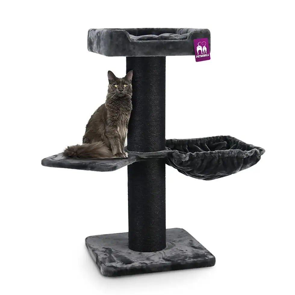 Thumbnail: The Rebels Maine Coon 117cm Cat Tree