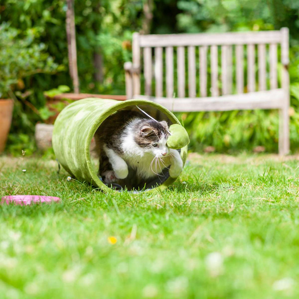 LUXURY MULTI WAY CAT TUBE - By Hunter