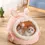 Thumbnail: Cute Rabbit Cat Pet Cave House