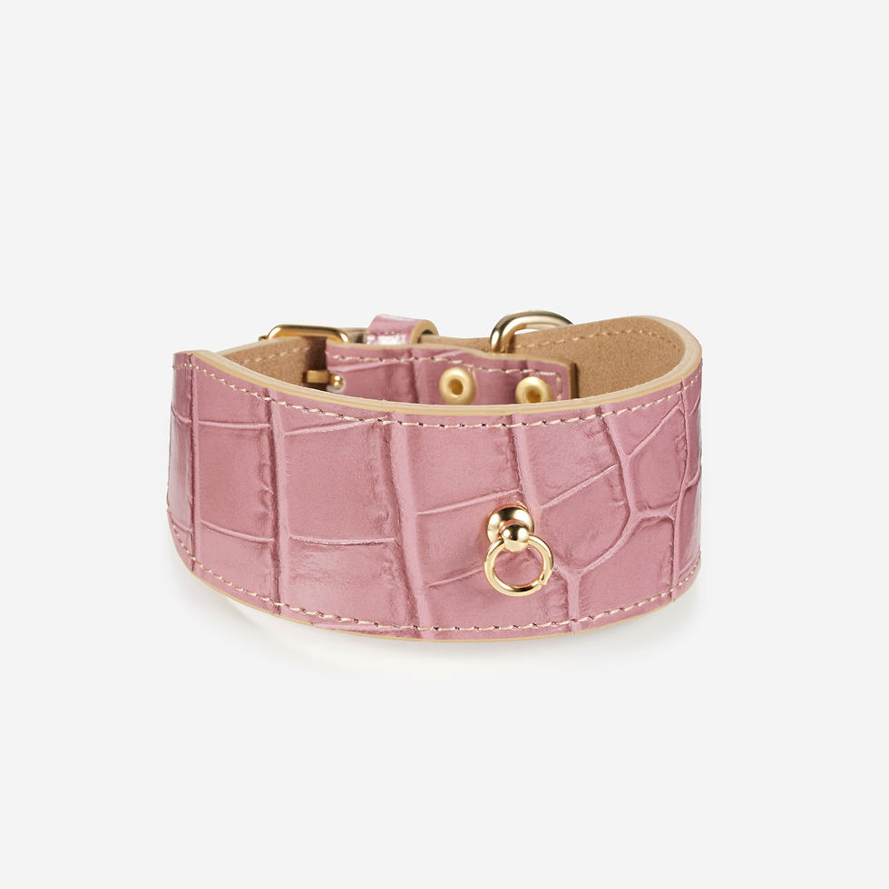Thumbnail: LEATHER DOG COLLAR - Duke Lia