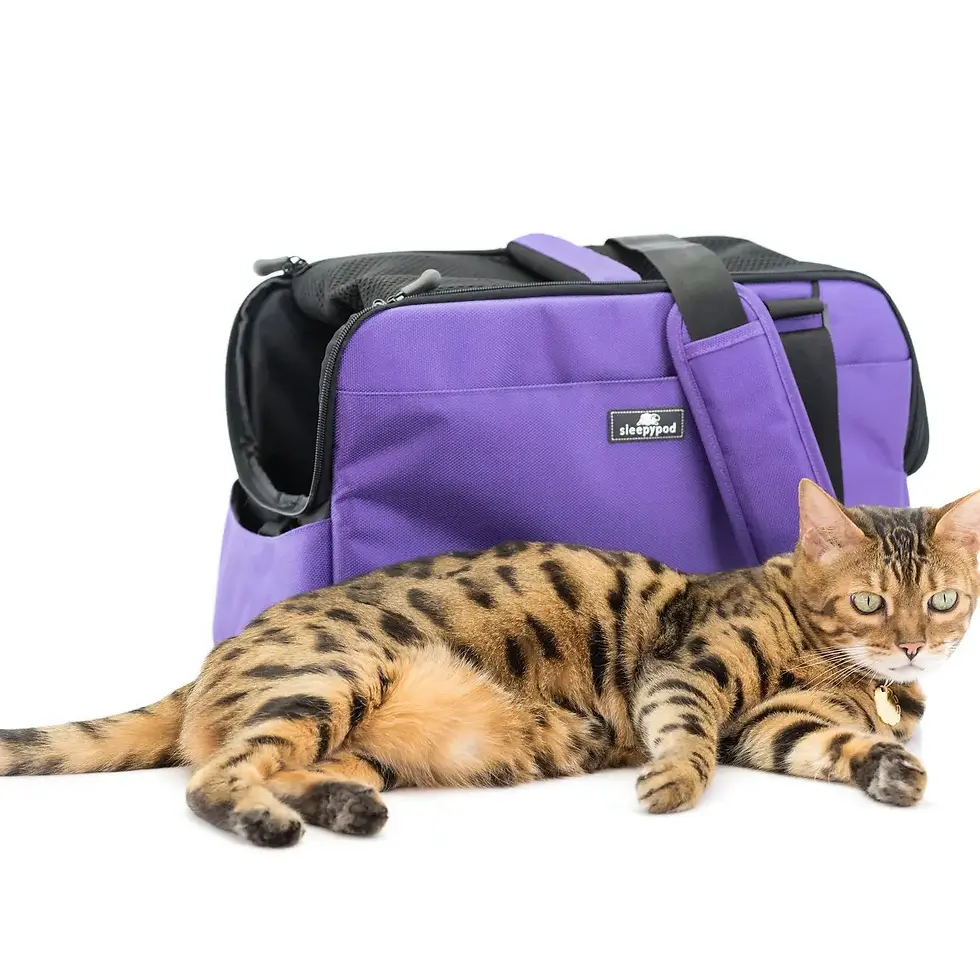 Thumbnail: Sleepypod Atom Pet Carrier 