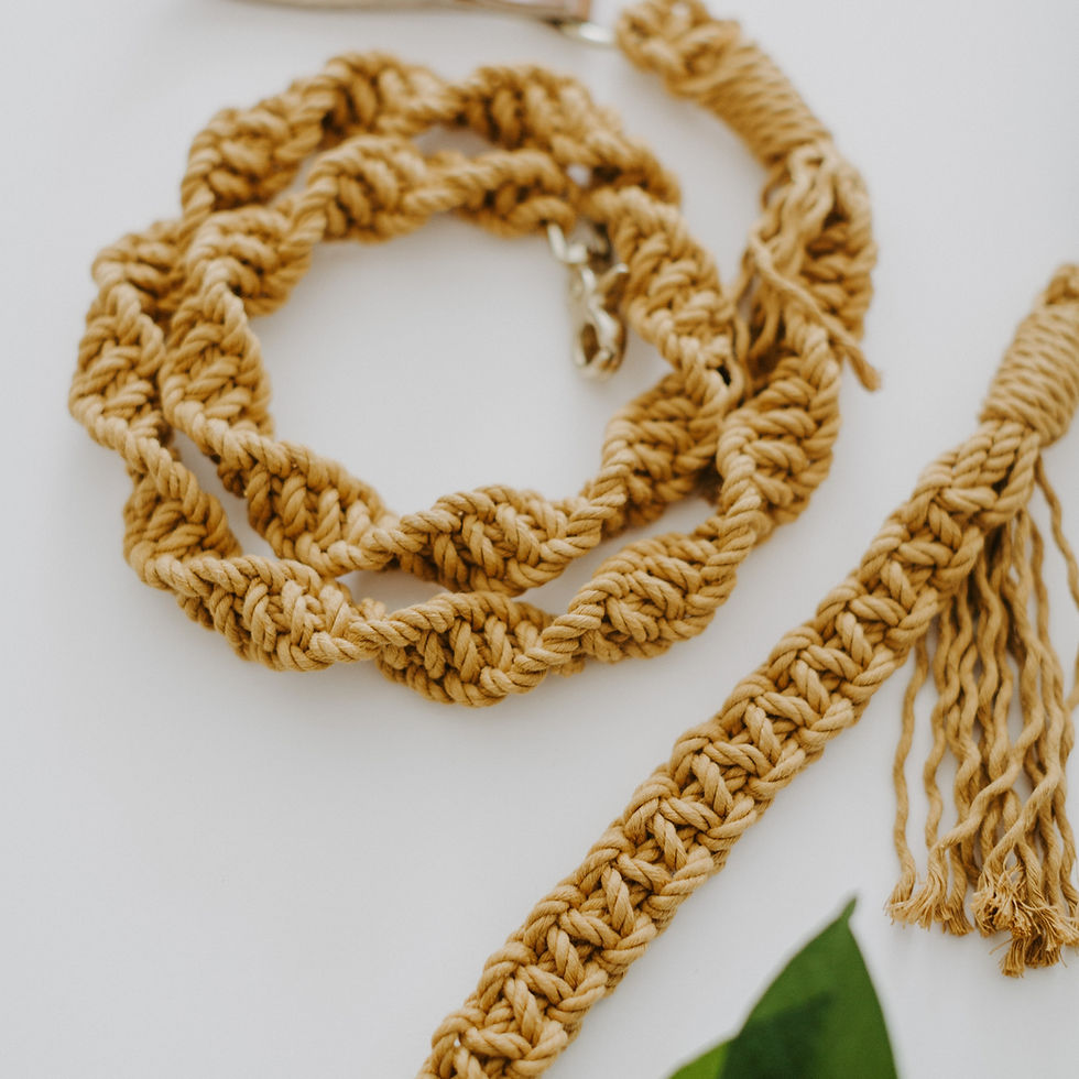 Thumbnail: MACRAME DOG LEAD