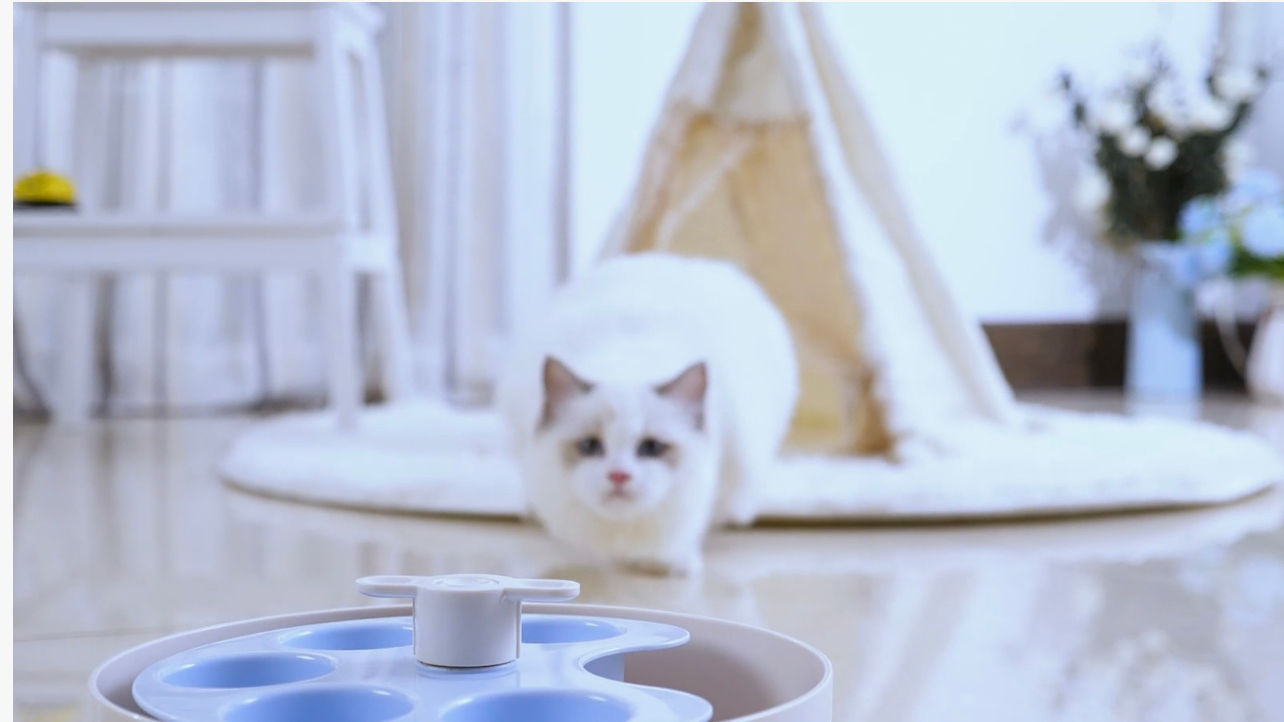 PetDreamHouse SPIN Interactive Feeder Palette Medium