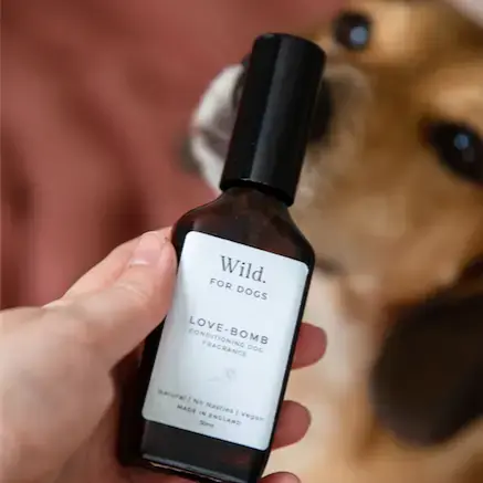 Thumbnail: Love-Bomb Dog Fragrance - 50ml 