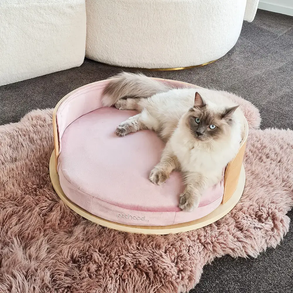 Rumi Round Pet Bed Medium Velvet by Pethood 