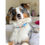 Thumbnail: BLUMOND DOG COLLAR