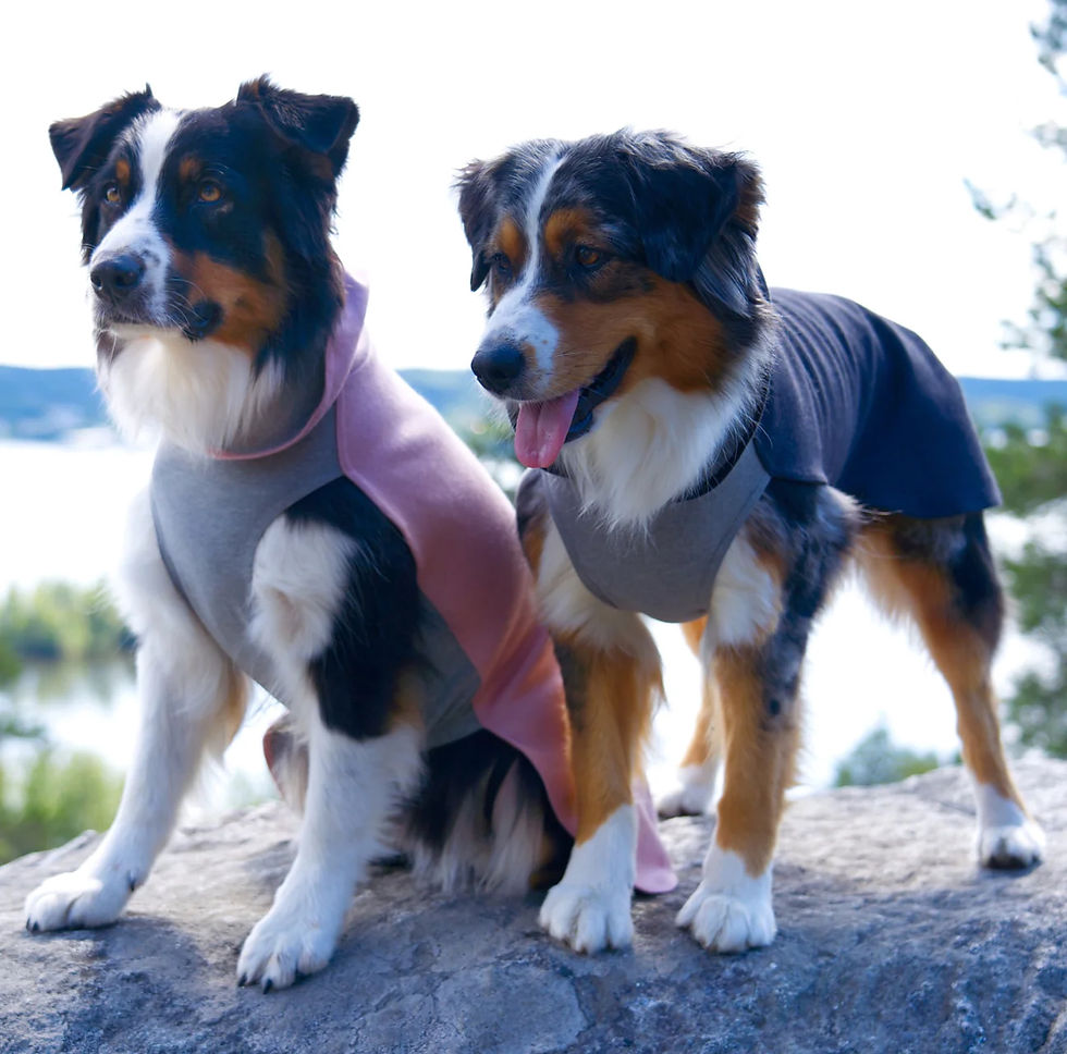 RECOVERY WINTER SHIRT - By PAIKKA