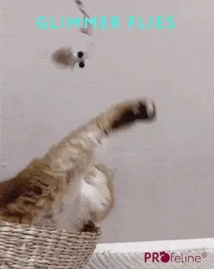 Thumbnail: Profeline - Cat Toy Glimmer Flies Refill