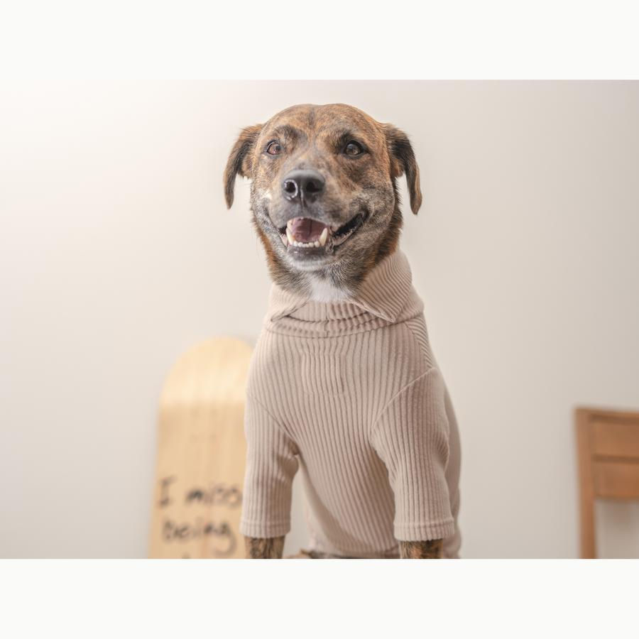 HIGH V NECK JUMPSUIT