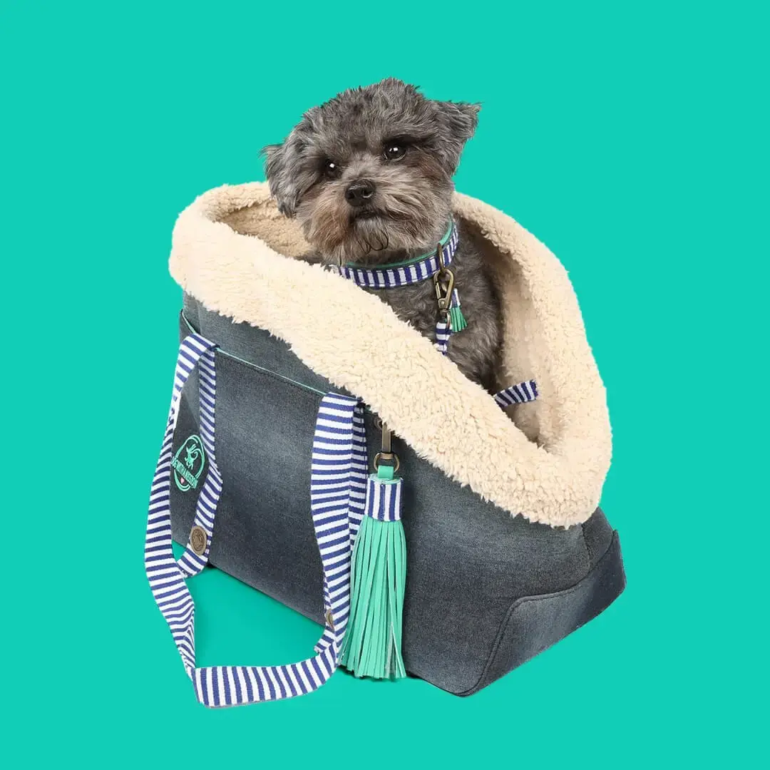 Mr Cruise Dog Bag