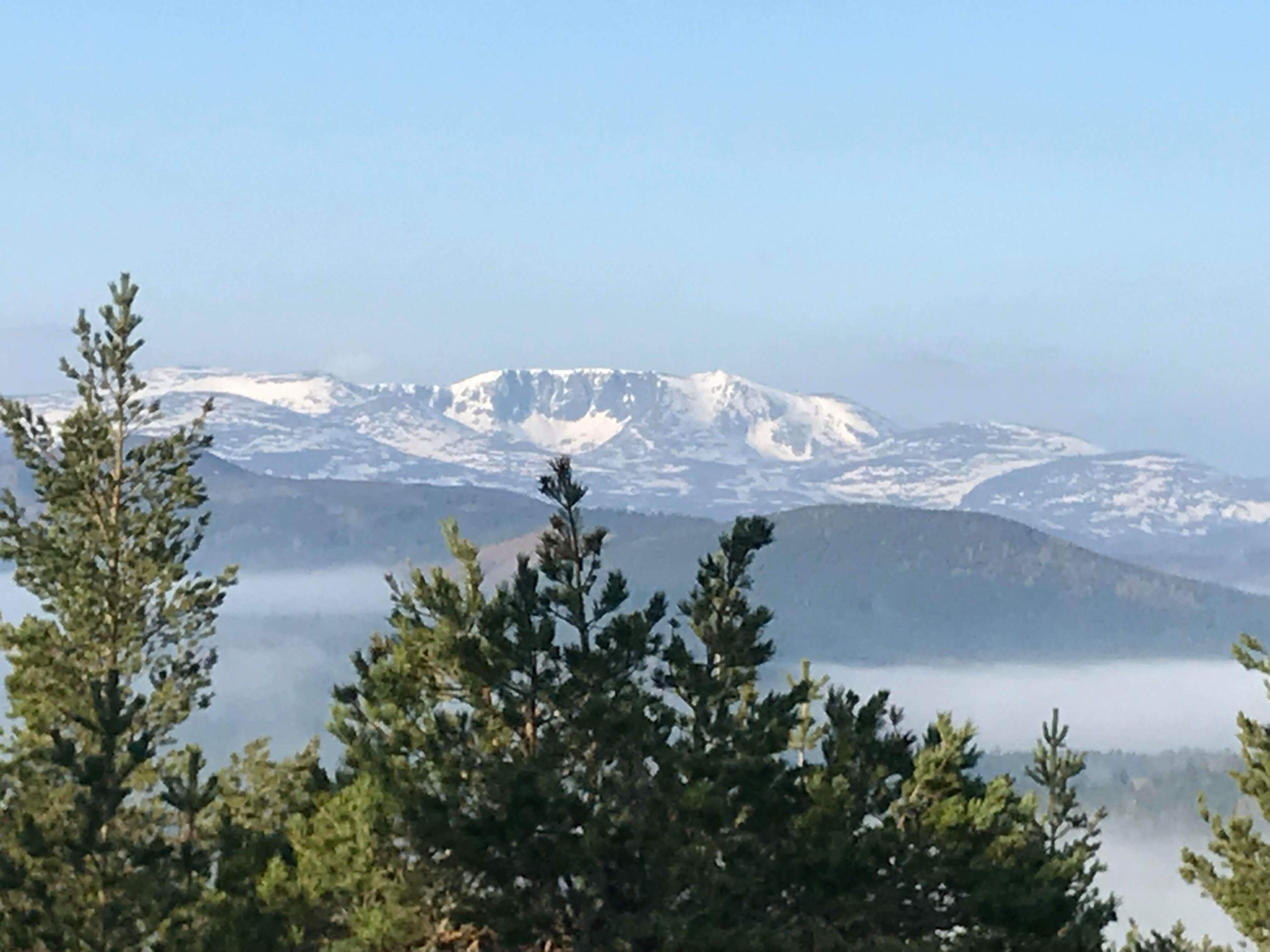 Early Spring from Craigendarroch