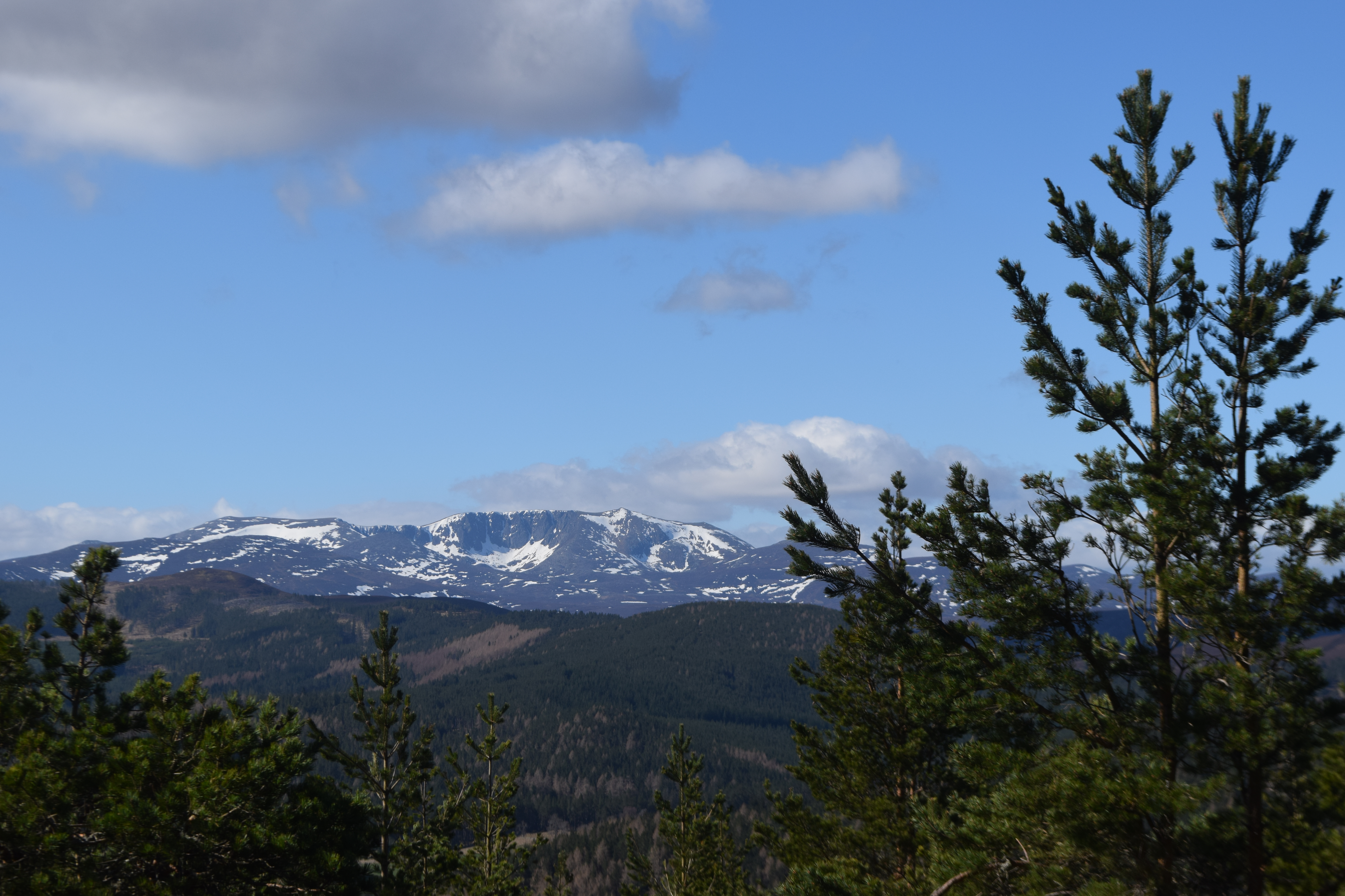 Lochnagar from Cragendarroch Hill