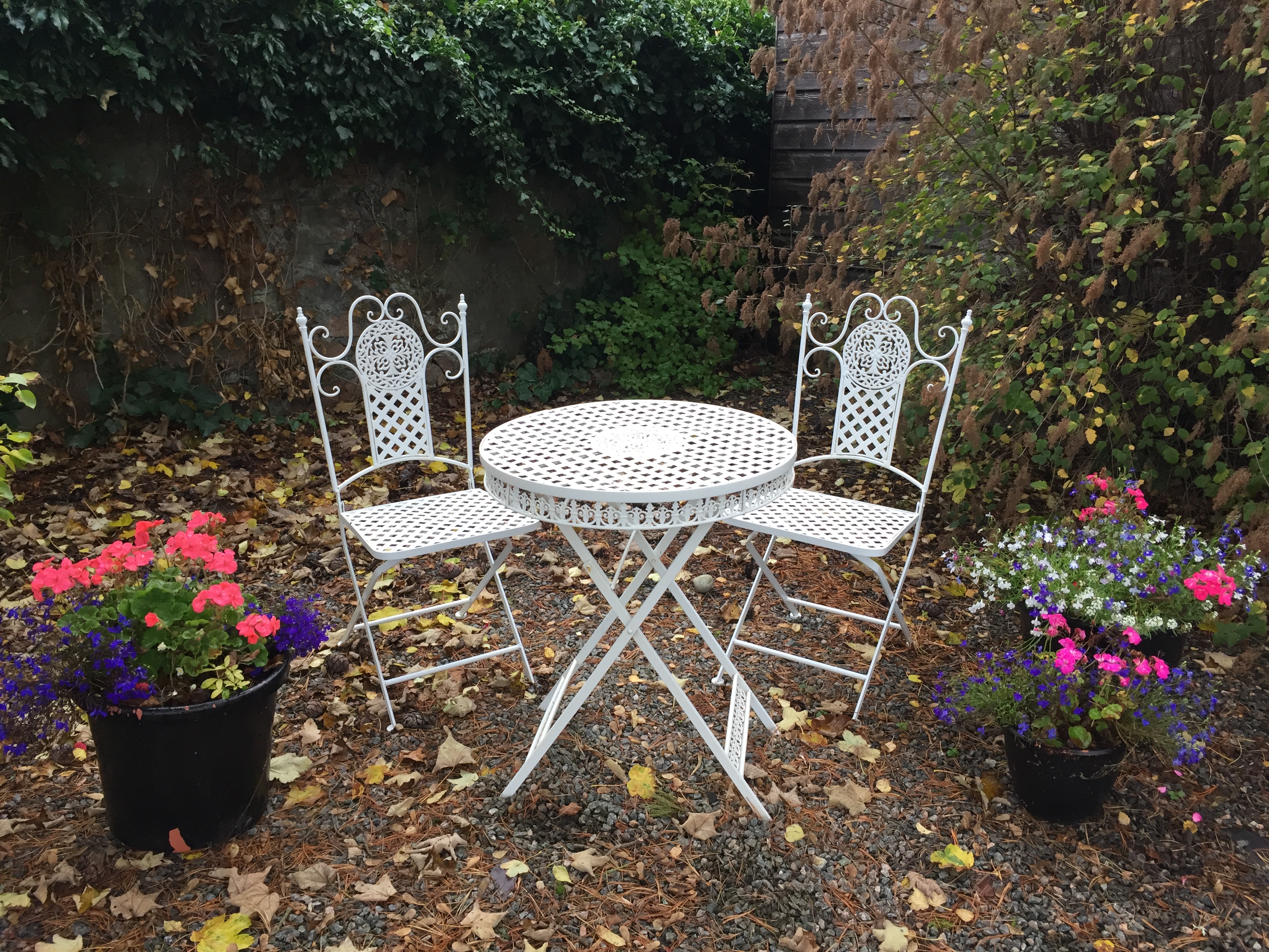 A Sunny Breakfast Spot - Autumn