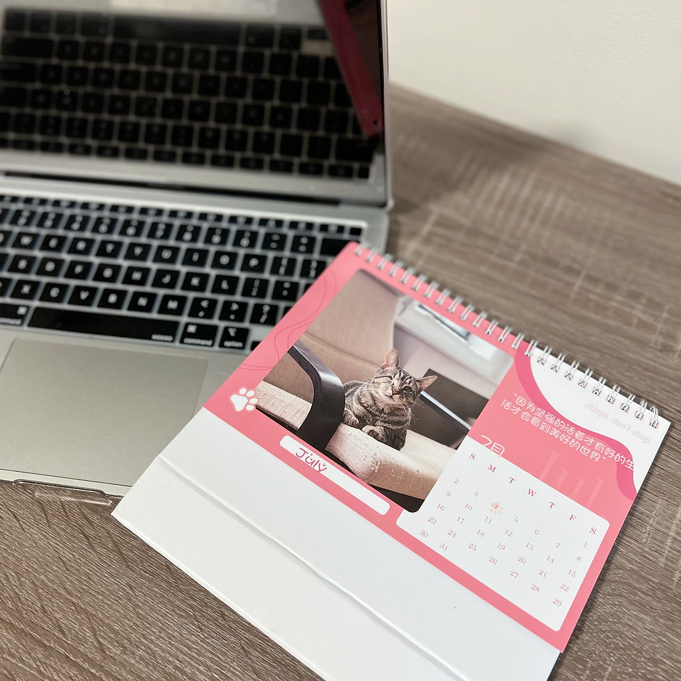 Thumbnail: SOLD OUT! 2023 Cat's Home Charity Calendar