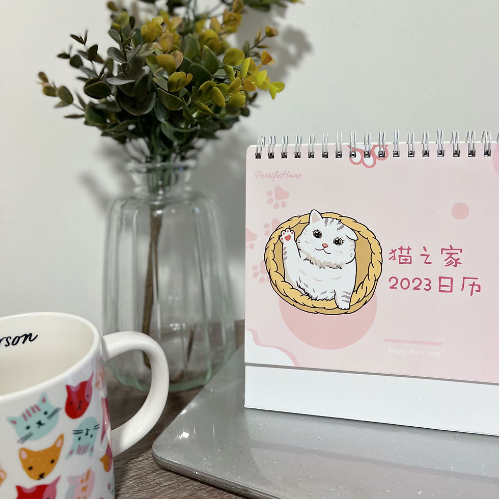 SOLD OUT! 2023猫の家公益台历