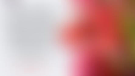 Mesaj de felicitare cu ocazia Sărbătorilor Pascale !