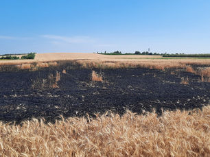 Recomandări pentru asigurarea securității la incendiu în campania de recoltare a cerealelor