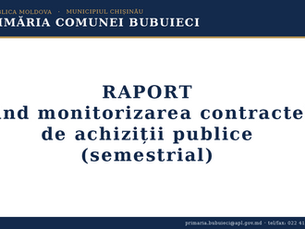 RAPORT privind monitorizarea contractelor de achiziții publice