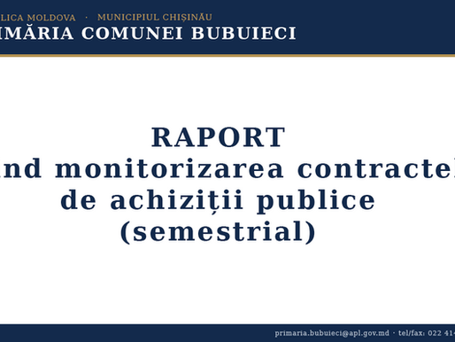 RAPORT privind monitorizarea contractelor de achiziții publice
