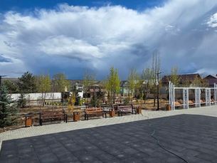 🌳Amenajarea parcului din comuna Bubuieci prin plantarea de arbori și arbuști ornamentali