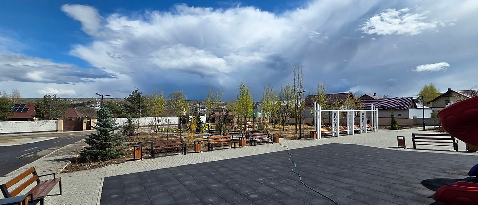 🌳Amenajarea parcului din comuna Bubuieci prin plantarea de arbori și arbuști ornamentali