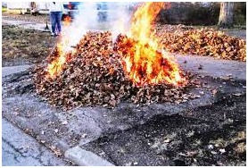 ESTE INTREZISĂ ARDEREA frunzelor și vegetației uscate