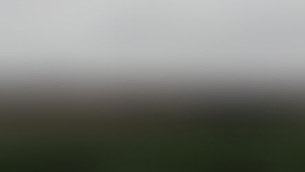 🌳 Anunț informativ privind lucrările de pregătire pentru împădurirea terenurilor din comuna Bubuieci