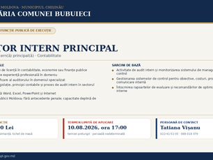 Anunț de angajare Auditor Intern