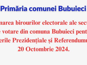 Formarea Birourilor Electorale pentru Alegerile Prezidențiale și Referendumul din 20 Octombrie 2024.