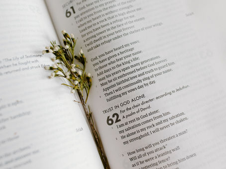 Open Bible displaying Scripture with a pressed flower, symbolizing Christian hope, faith, healing, and patience during times of suffering.