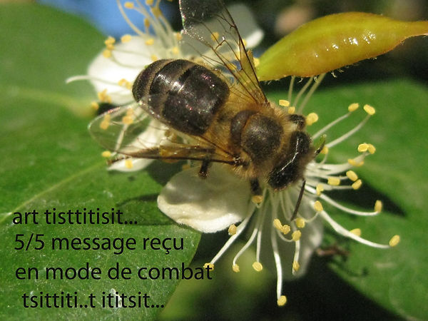 artist mytho reunion blagues