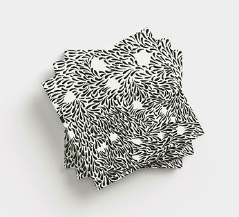Birds Eye of black and white Artist Book