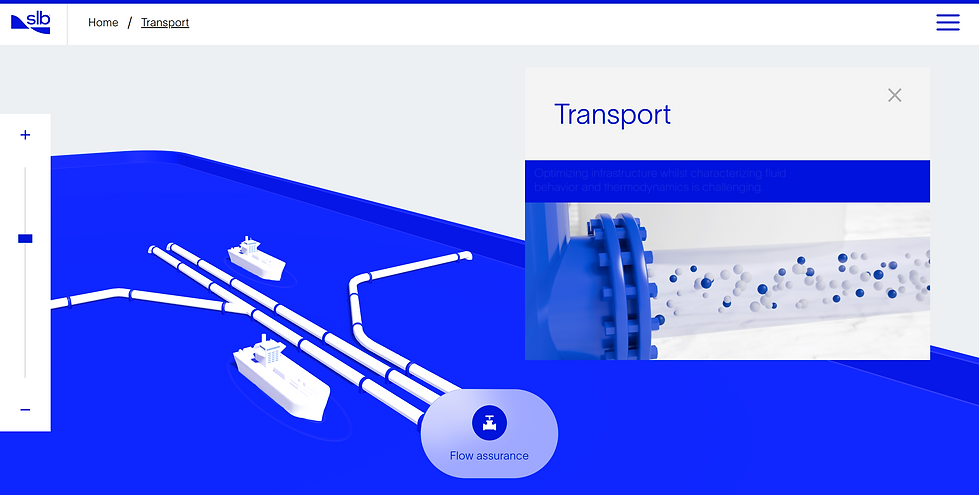 slb.imagination.net_ (8).png