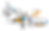 VISU DKT PREEZ.png