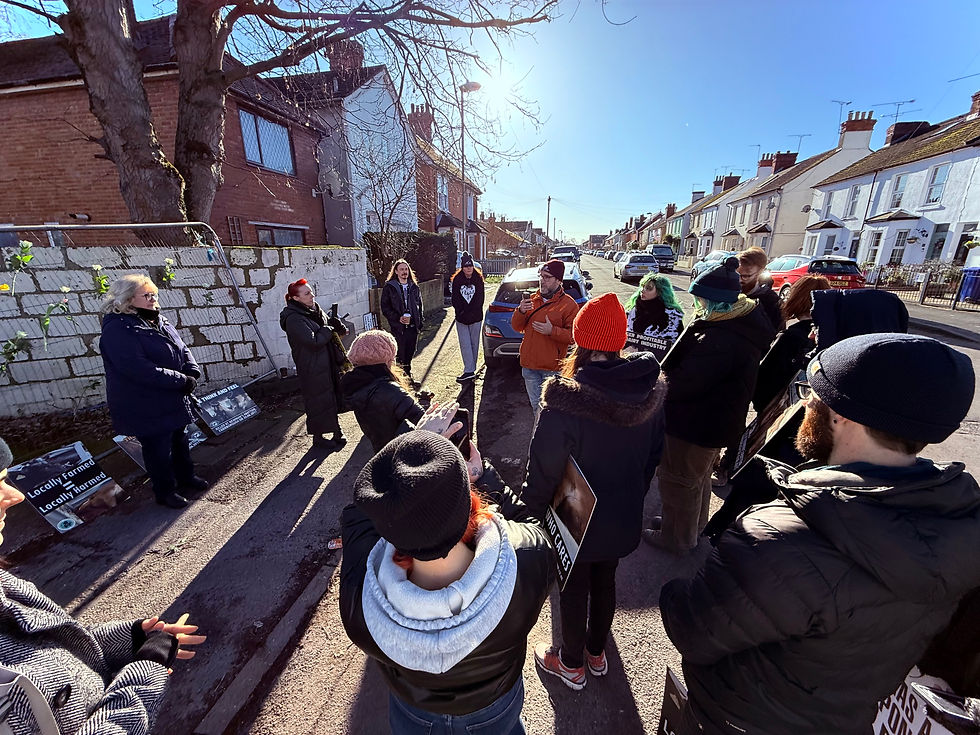 People gather on a sunny street for a protest, holding signs. A brick wall and row of houses form the background. Casual winter attire.