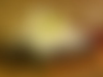 o ceremoniálnych masážach] Sávitryí v Nitre