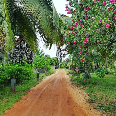 Elements Beach & Nature Resort : une autre histoire d'expatriés au Sri Lanka.