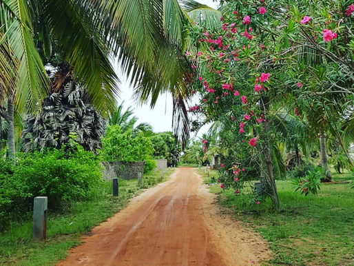 Elements Beach & Nature Resort : une autre histoire d'expatriés au Sri Lanka.