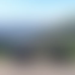 Découverte des plantations de thés au Sri Lanka.