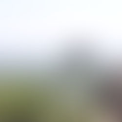 Le Rocher au Lion à Sigiriya.