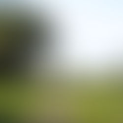 A la découverte de Mahiyanganaya.