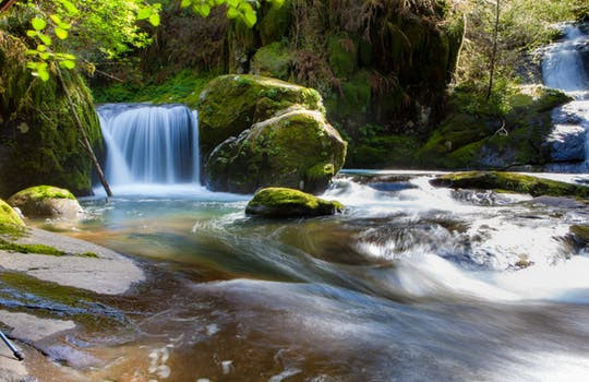 Beautiful flowing waterfall and stream in nature
