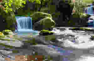 Beautiful flowing waterfall and stream in nature