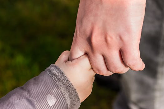 Child's fingers holding an adult hand