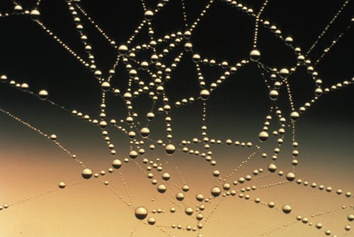 water on a web