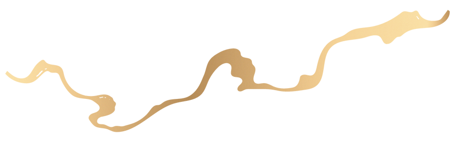 LisaLangeder_logo-23.png